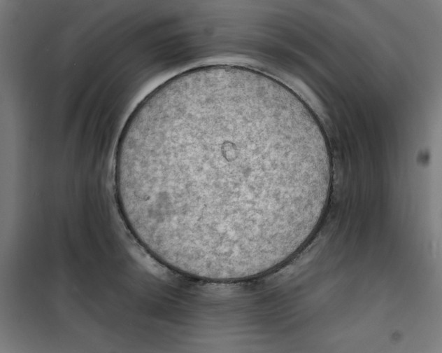 X0000100311044200807031142