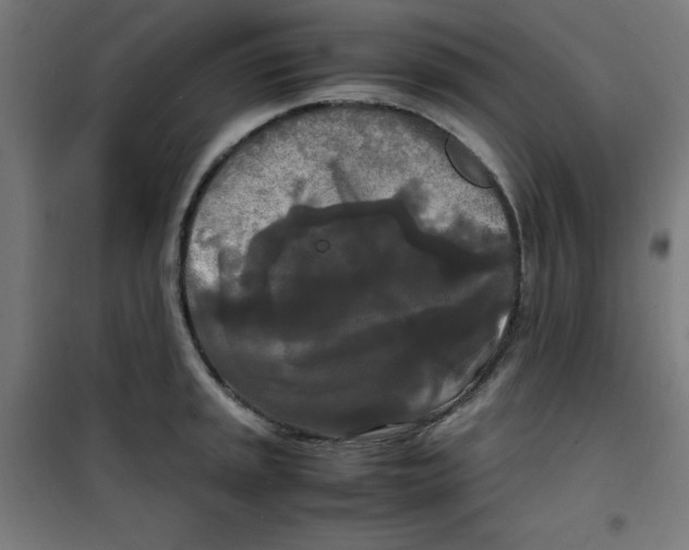 X0000100311045200807031142