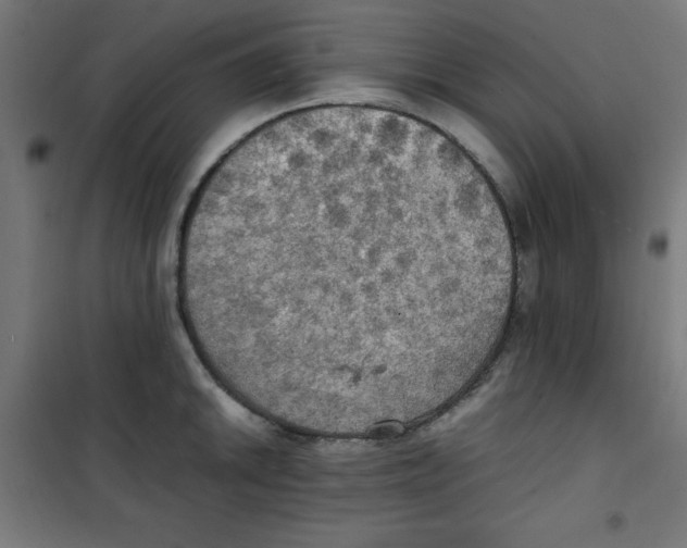 X0000100311046200807031142