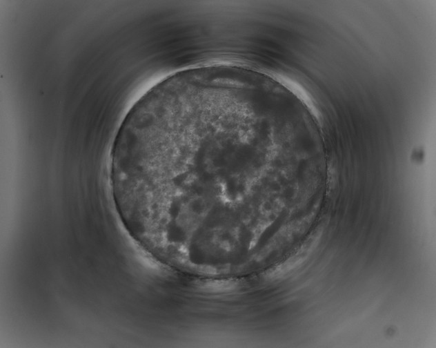 X0000100311047200807031142