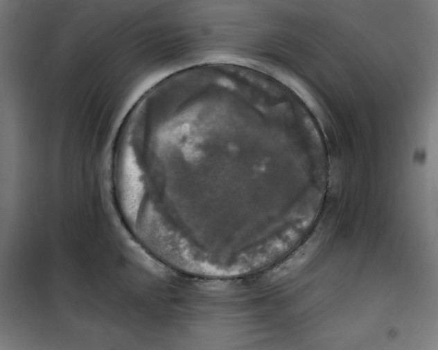X0000100311048200807031142