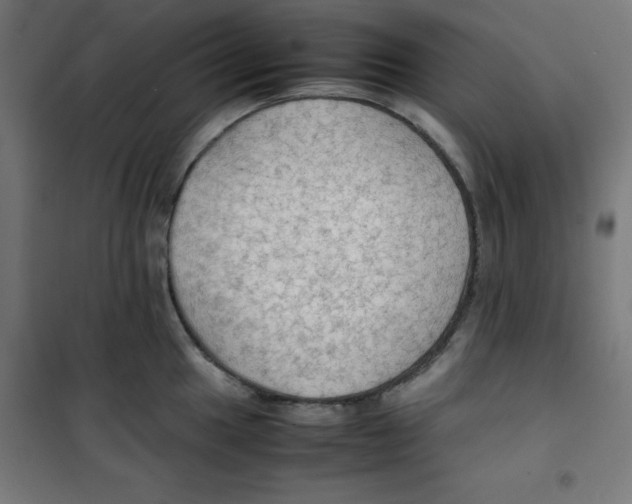 X0000100311049200807031142