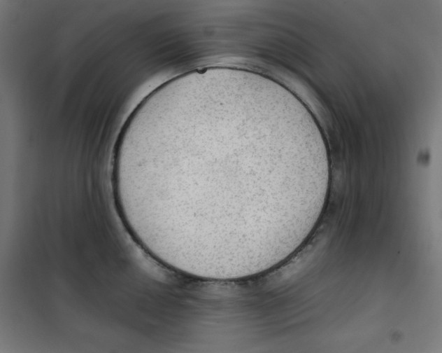 X0000100311050200807031142