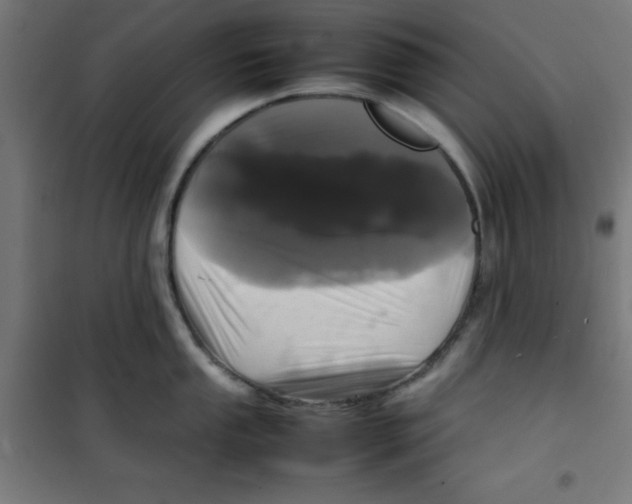 X0000100311053200807031142
