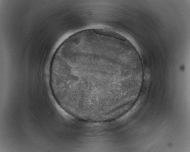 X0000100311054200807031142