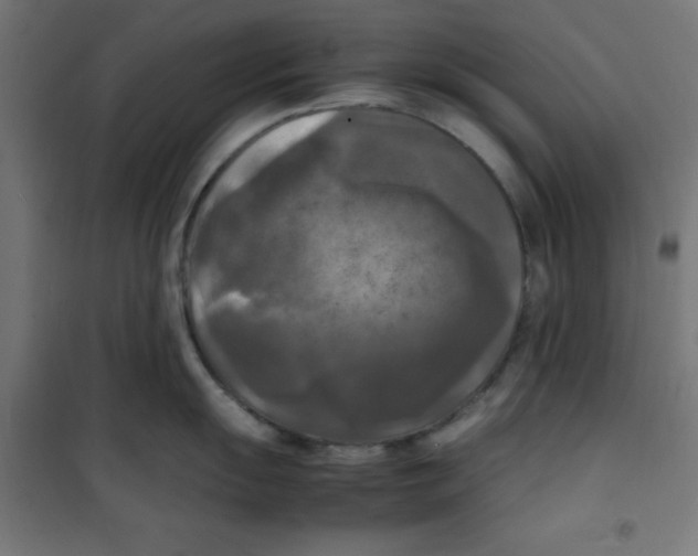 X0000100311055200807031142