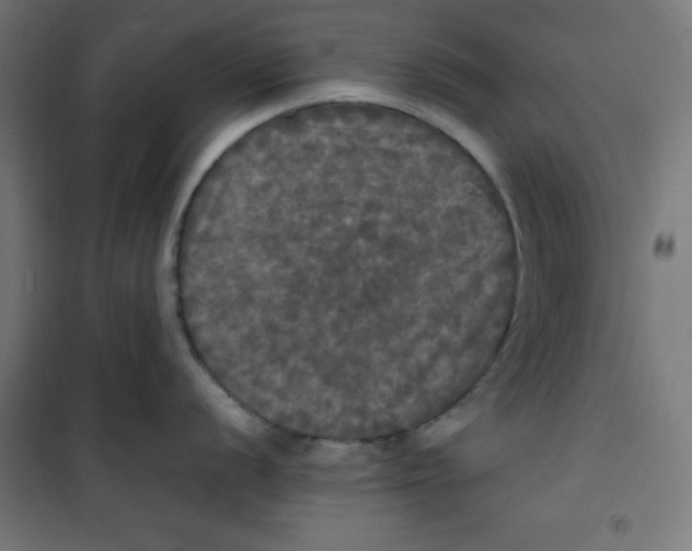 X0000100311056200807031142