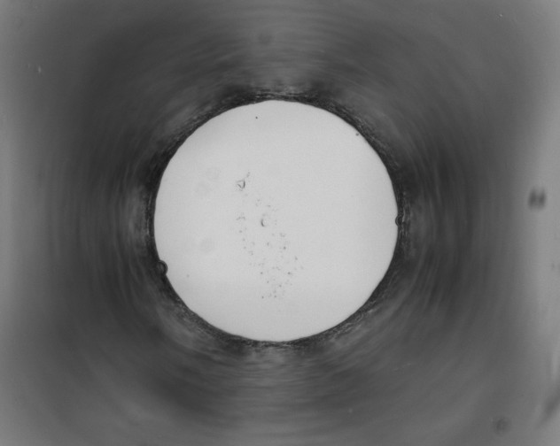 X0000100311058200807031141