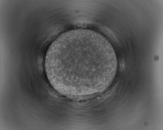 X0000100311060200807031141