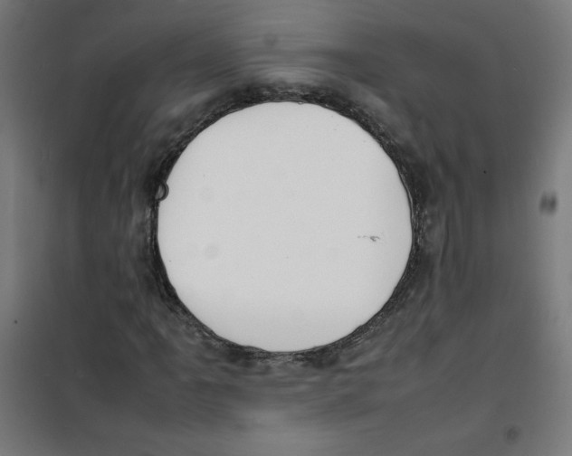 X0000100311061200807031141