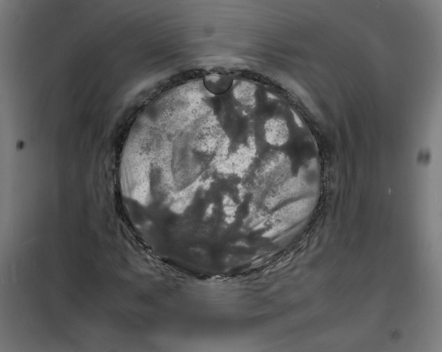 X0000100311063200807031141
