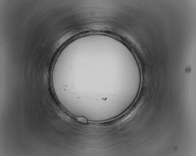 X0000100311065200807031141