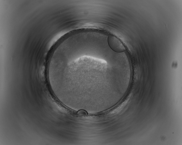 X0000100311066200807031141