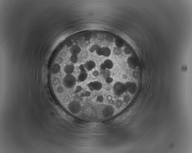 X0000100311067200807031141