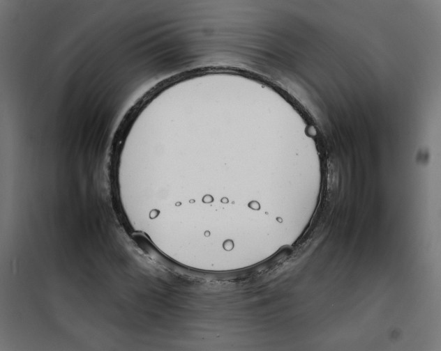 X0000100311068200807031141