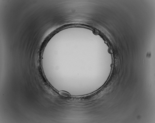 X0000100311069200807031141