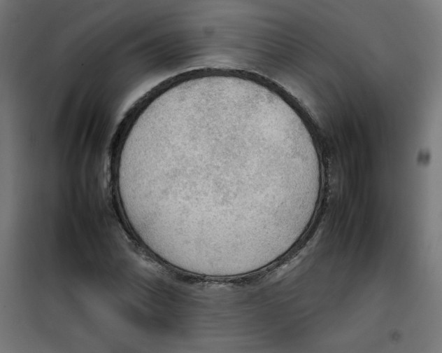 X0000100311070200807031141