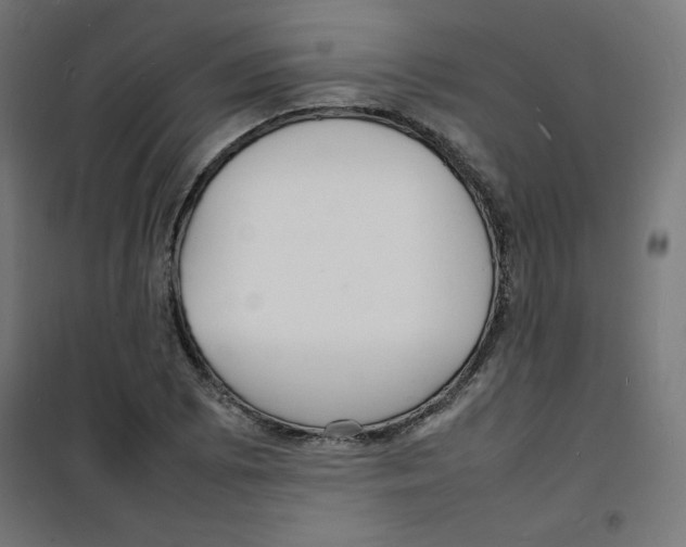 X0000100311073200807031141