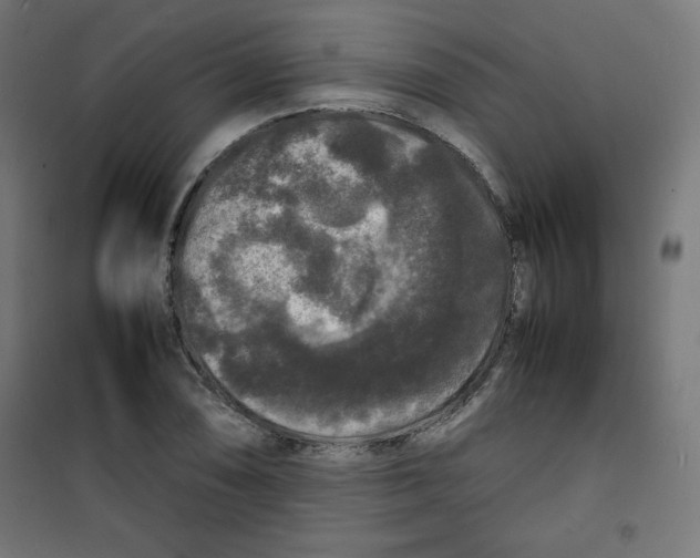 X0000100311074200807031141