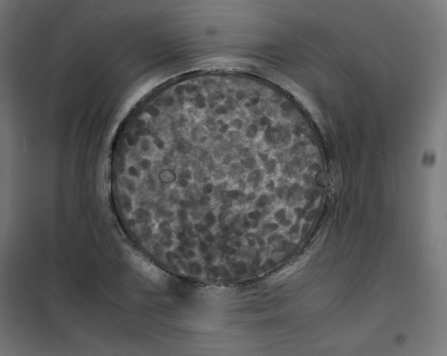 X0000100311075200807031141