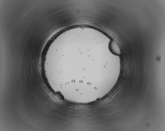 X0000100311076200807031141