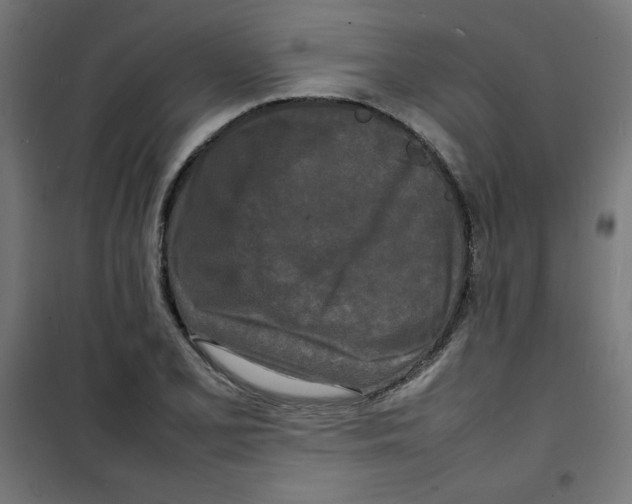 X0000100311077200807031141