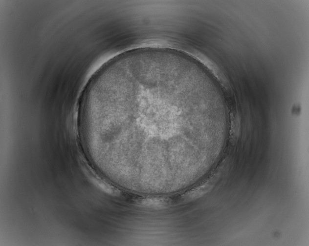 X0000100311078200807031141