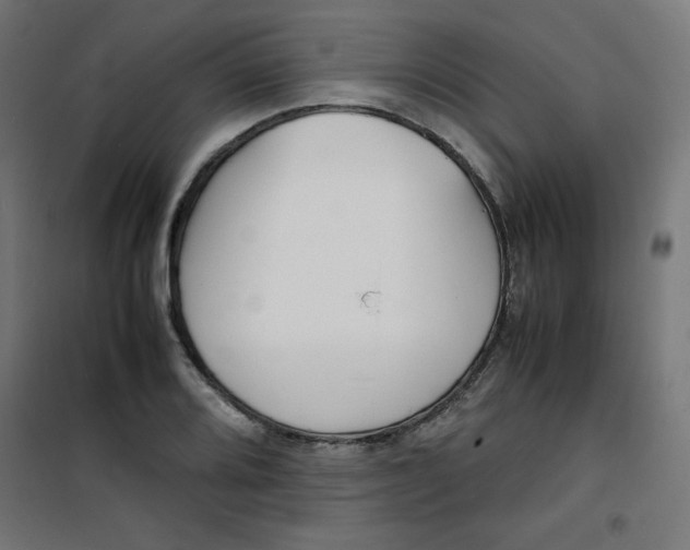 X0000100311080200807031141