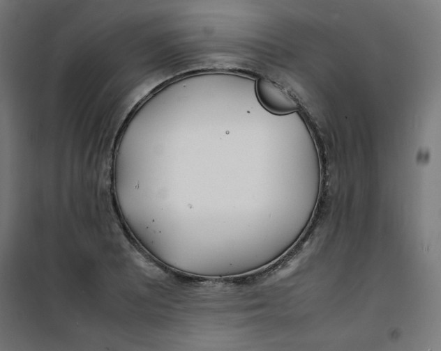 X0000100311081200807031141