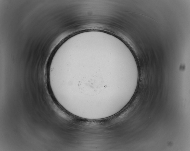 X0000100311082200807031141