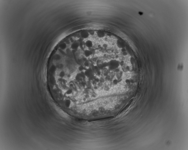 X0000100311083200807031141
