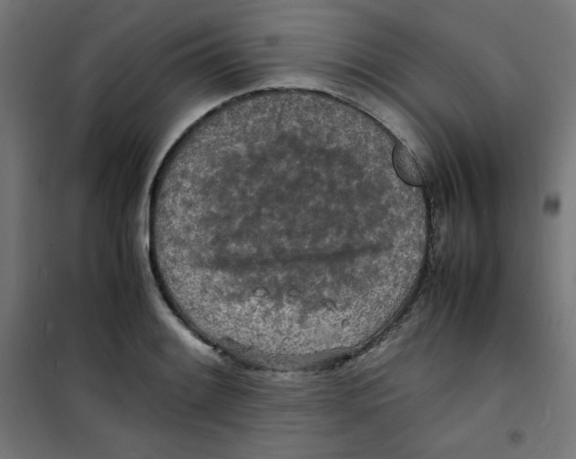 X0000100311084200807031141