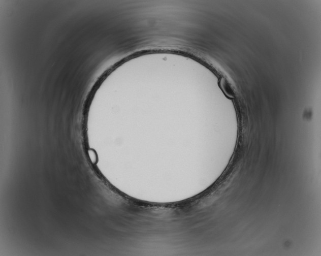 X0000100311085200807031141