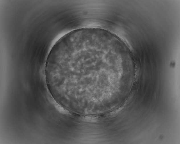 X0000100311086200807031141