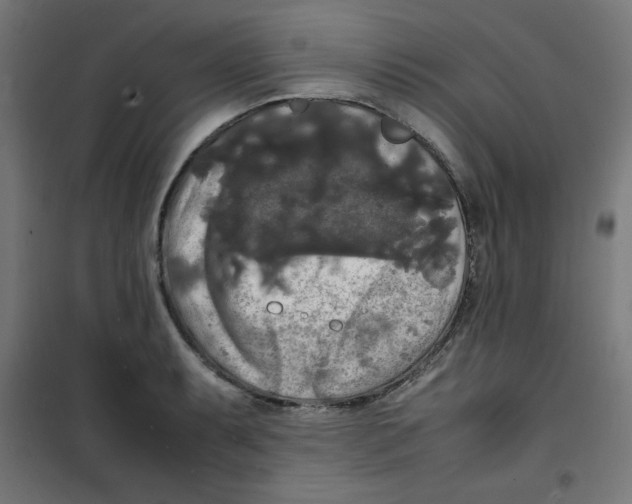 X0000100311087200807031141