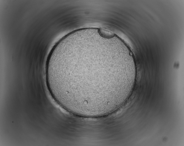 X0000100311088200807031141