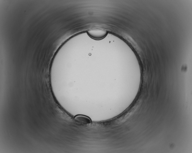 X0000100311089200807031141