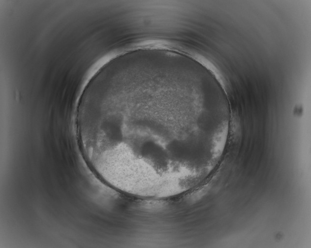 X0000100311090200807031141