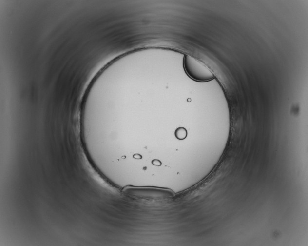 X0000100311092200807031141