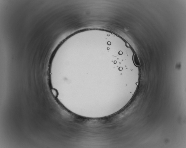 X0000100311093200807031141