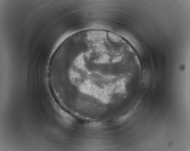 X0000100311094200807031141