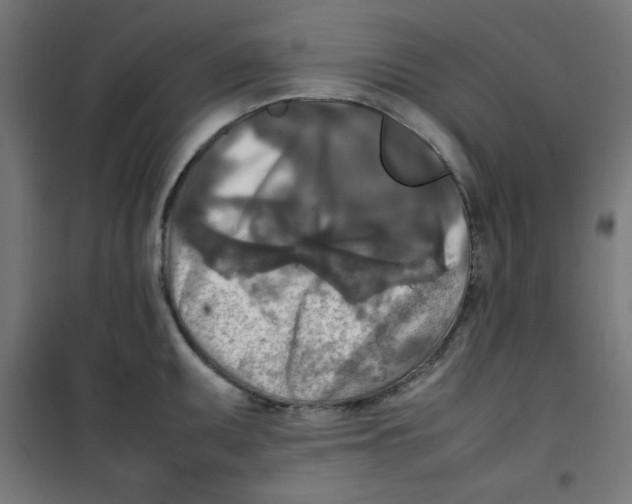 X0000100311095200807031141