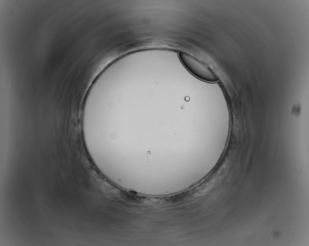 X0000100311097200807031141