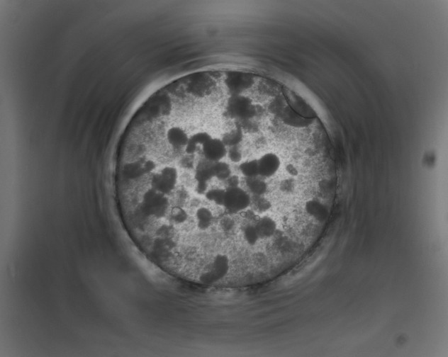 X0000100311099200807031141
