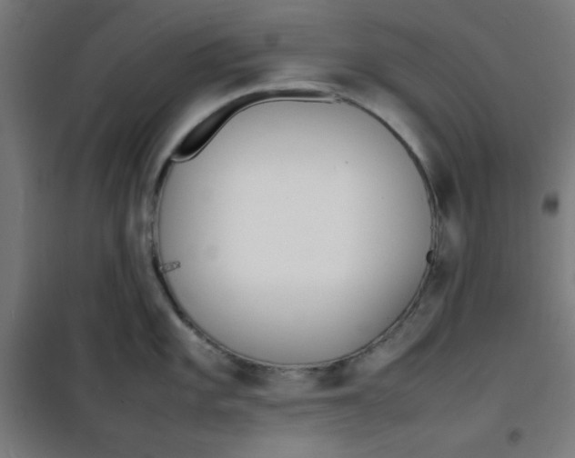 X0000100311101200807031140