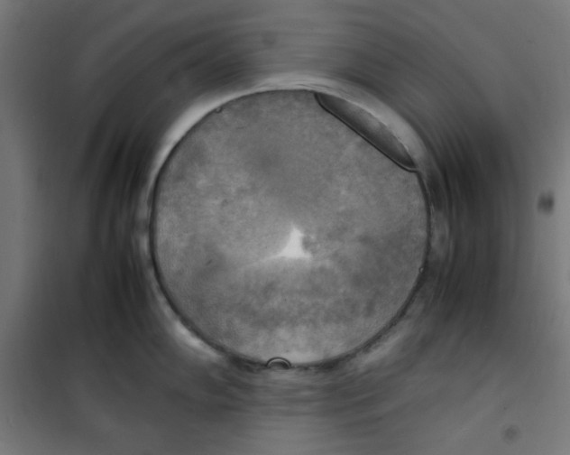 X0000100311102200807031140