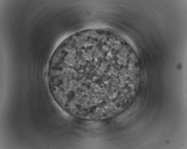 X0000100311103200807031140