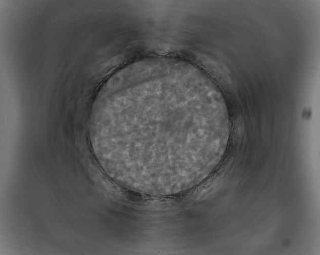 X0000100311105200807031140