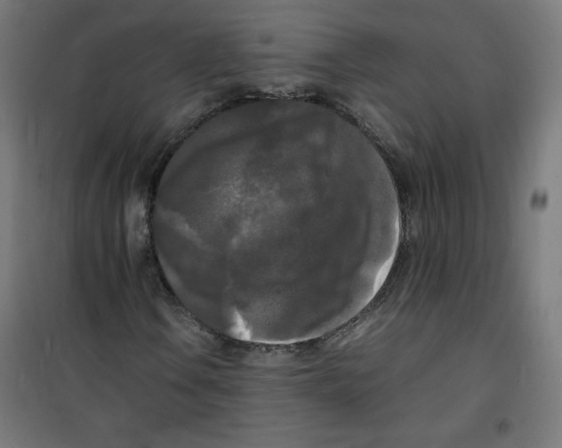 X0000100311106200807031140
