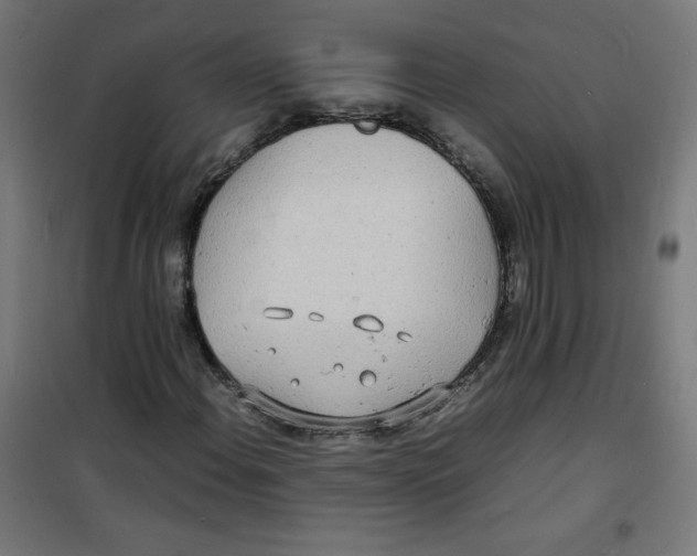 X0000100311108200807031140